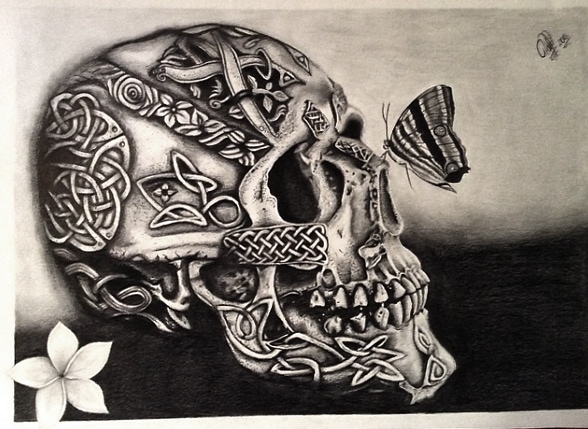 skull & moth pencil drawing