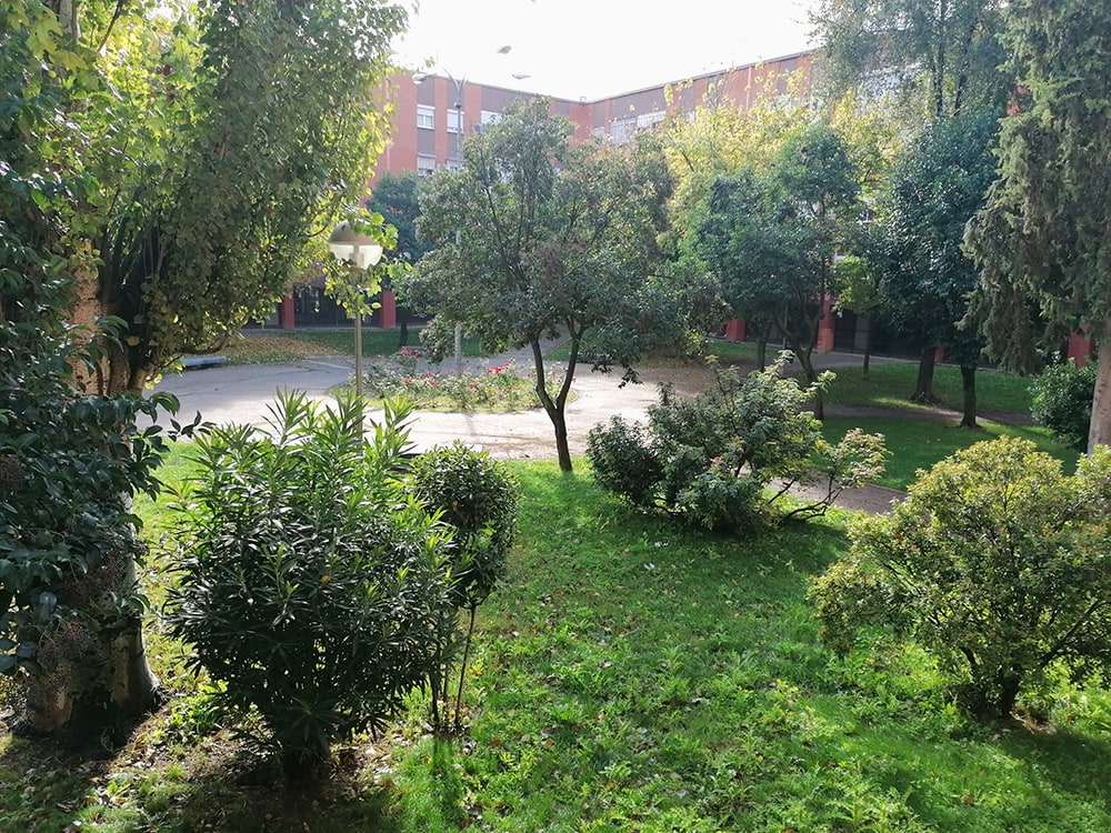 window view park trees greenery